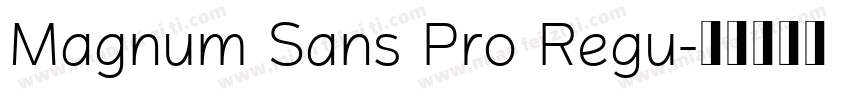 Magnum Sans Pro Regu字体转换